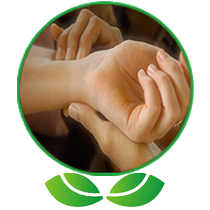 Ayurveda & Yoga Consultation